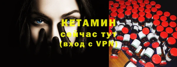 сатива Козловка
